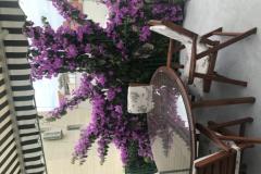 Apartamenty Sara Baška Voda Apartament 1 – A5 foto 2