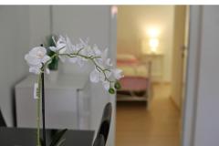 Apartamenty Karin Apartament 3 – A-3 foto 4