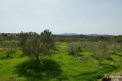 Apartamenty Neja Apartament 2 – 1.floor foto 2