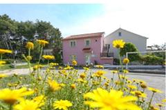 Apartament Dent  Apartament 1 – Apartman foto 1