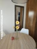 Dom wakacyjny Roema Apartament 2 – A studio foto 3