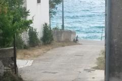 Nocleg Julia Apartament 6 – Julia 6 foto 2