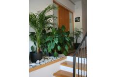Apartamenty Katarina Apartament 1 – Ap1 foto 1