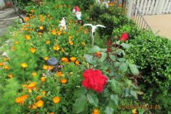 Apartamenty  Anka Apartament 1 foto 3