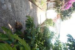 Apartamenty Diana Apartament 1 – Apartman 1 foto 5