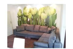 Apartament Estera Apartament 1 foto 1