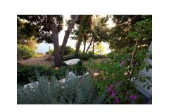 Apartamenty Garac Apartament 1 foto 4