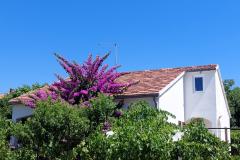 Dom wakacyjny - Apartament Milka Apartament 1 – Kuća foto 2