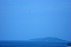 Apartamenty Ivana  Apartament 1 – Apartman foto 1