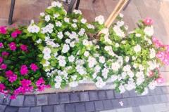 Apartamenty Vesna Apartament 3 – A3 foto 4