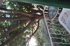 Dijana Beach Dom Apartament 1: (1+1) – Villa Dija foto 5