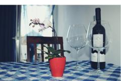 Villa Niko Gradac Apartament 1 – Studio A1 foto 3