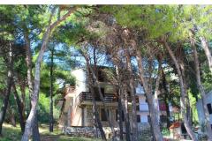 Apartamenty Floris Ivan Dolac Apartament 3 – 9 guests foto 4