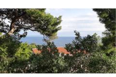 Tigrich apartmani Apartament 4 – Weiller foto 2