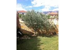 Apartamenty Vito Apartament 1 – Bartul foto 2