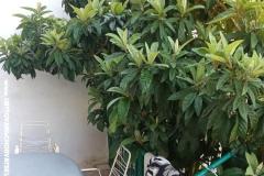 Apartamenty Duboka Apartament 1 – A2 foto 4