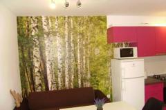 Apartaments Samanic Apartament 2 – Apartman 4 foto 2