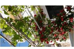 Apartamenty Kinkela Apartament 3 – studio foto 1