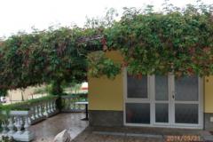 Apartamenty Milica Apartament 1 – APARTMAN foto 4