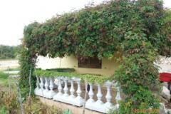 Apartamenty Milica Apartament 1 – APARTMAN foto 5