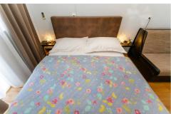 Apartamenty Plišić Apartament 1 – Apartman 1 foto 2