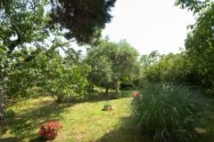 Sea Dream Apartament 2: (4+2) – Sea Dream2 foto 4