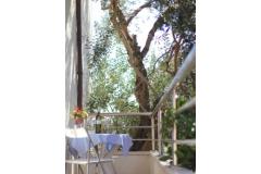 Apartamenty Zoran Apartament 1 – AP1 foto 5