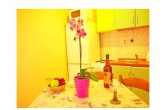 Apartamenty Diana Apartament 4 – ap. 4 foto 2