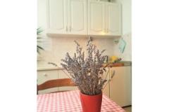 Apartamenty Dragica Begović Apartament 2 – STUDIO-AP2 foto 1