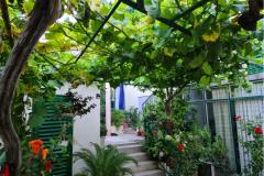 Apartamenty Vinea Apartament 2 – Vinea A2 foto 2