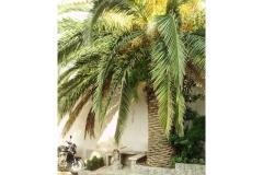 Silva apartments Apartament 2 foto 4