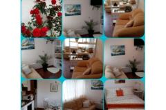 Villa Apartamenty Sumić Apartament 1 – GREEN OASE foto 4