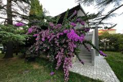 Flowers Apartament Medulin, Fucane 2 Apartament 1 – Bugenvilia foto 2
