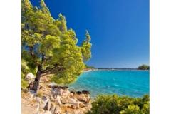 Vila Franka Apartament 2 – Apt2 foto 4