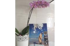 Apartamenty Mirjana Apartament 1 – I . kat foto 2