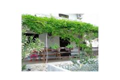 Apartament Lucija Apartament 1 – Prizem foto 4