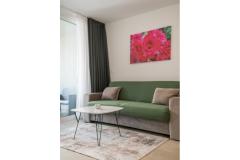 A&amp;V Residence Apartament 6 – E6 foto 4