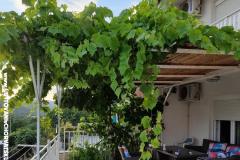 Dom Nada Apartament 3 – Palma foto 3