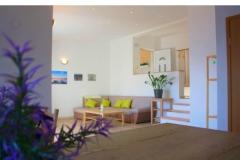 Apartamenty Dragana Apartament 3 – Velvet foto 1