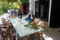 Villa Natasa Apartament 1 – Ap. 1 foto 5