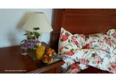 Apartament Kamelija Apartament 1 – Kamelija foto 2