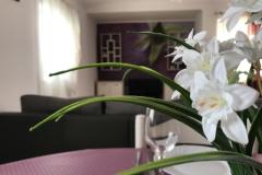Apartamenty Luna Apartament 4 – 7 foto 1