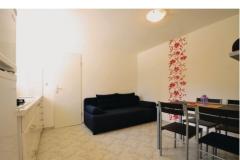 Apartamenty Petrović Apartament 2 – Apartman 3 foto 1