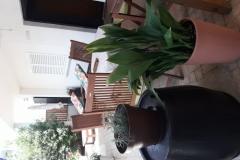 Lola Apartament 1 – A4+1 foto 2