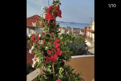 Apartamenty Iva Apartament 3 – App 7+1 foto 2