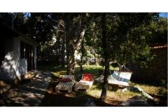 Pine Villa Apartament 1 – Pine villa foto 2