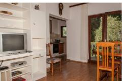 Apartamenty Ivanka Apartament 3 – Tea foto 5