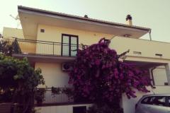 Apartamenty Danica Apartament 1 – APP 1 foto 1