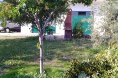 Apartament Sumić Apartament 1 – Vespa foto 2