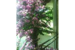 Apartamenty Kelava Željko Apartament 4 – 2 foto 5